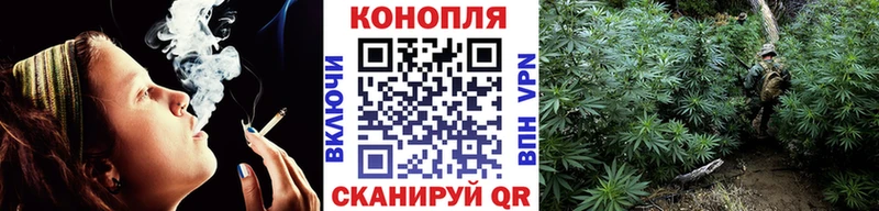 дарнет шоп  кракен как зайти  Бошки марихуана конопля  Отрадное 